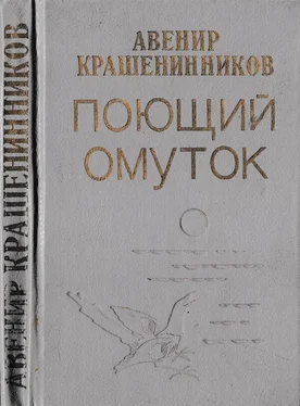 Авенир Крашенинников Поющий омуток [Рассказы и повесть] обложка книги