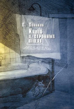 Сергей Синякин Книга о странных вещах [сборник] обложка книги