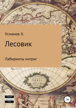 Хайдарали Усманов Лесовик. Лабиринты интриг обложка книги