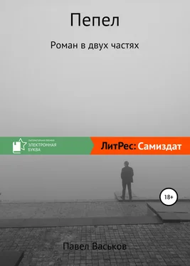 Павел Васьков Пепел обложка книги