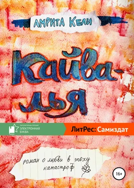 Амрита Кели Кайвалья обложка книги
