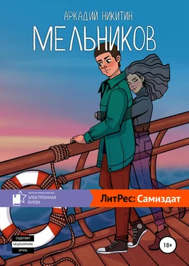 Аркадий Никитин Мельников обложка книги