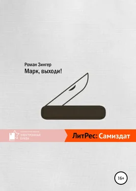 Роман Зинзер Марк, выходи! обложка книги