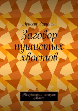 Эрнест Зариньш Заговор пушистых хвостов обложка книги