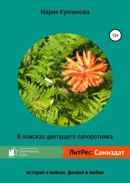 Мария Купчинова В поисках цветущего папоротника обложка книги