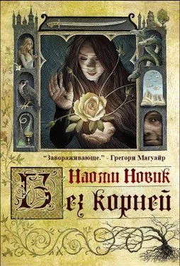 Наоми Новик Выкорчеванная обложка книги