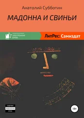 Анатолий Субботин - Мадонна и свиньи