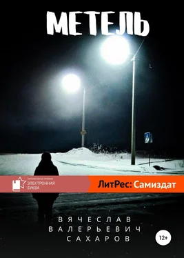 Вячеслав Сахаров Метель обложка книги