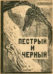 Сергей Покровский - Пестрый и Черный [Рассказы]