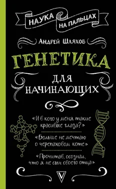 Андрей Шляхов Генетика для начинающих обложка книги