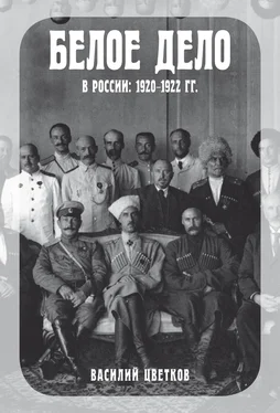 Василий Цветков Белое дело в России, 1920–1922 гг. обложка книги