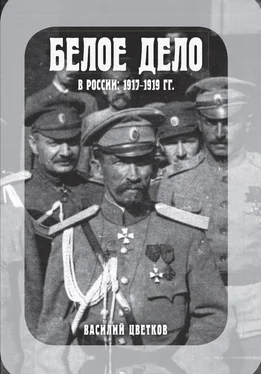 Василий Цветков Белое дело в России, 1917–1919 гг. обложка книги