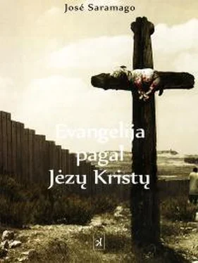 Жозе Сарамаго Evangelija pagal Jėzų Kristų обложка книги