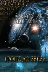 Александр Лепехин - Тропа до звезд