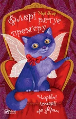 Мері Блер - Флері рятує прем’єру