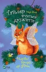 Мері Блер - Тайлер вчиться дружити