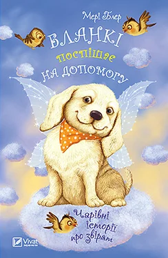 Мері Блер Бланкі поспішає на допомогу обложка книги