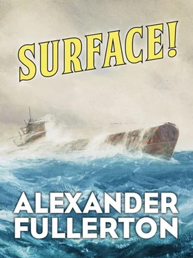 Alexander Fullerton Surface! обложка книги