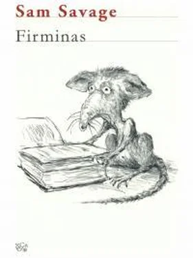 Сэм Сэвидж Firminas обложка книги