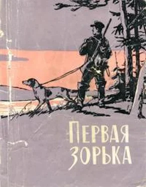 Григорий Устинов Первая зорька обложка книги