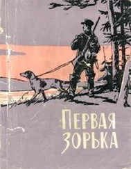 Григорий Устинов - Первая зорька