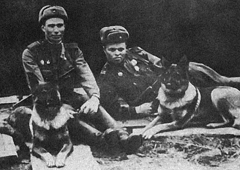 Динка и вожатый Филатов Как было установлено позже в результате взрыва было - фото 26