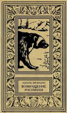 Камиль Зиганшин Возвращение росомахи [Повести] обложка книги