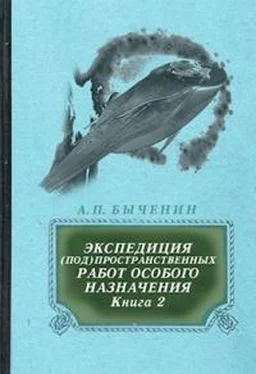 Александр Быченин Э(П)РОН-2 обложка книги