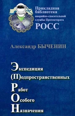 Александр Быченин Э(П)РОН обложка книги