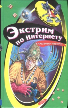 Владимир Аверин Экстрим по Интернету обложка книги