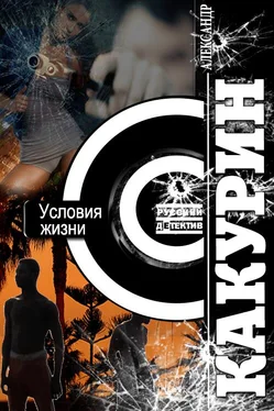 Александр Какурин Условия жизни [СИ] обложка книги