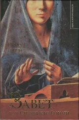 Нино Риччи - Завет, или Странник из Галилеи