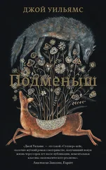 Джой Уильямс - Подменыш [litres]