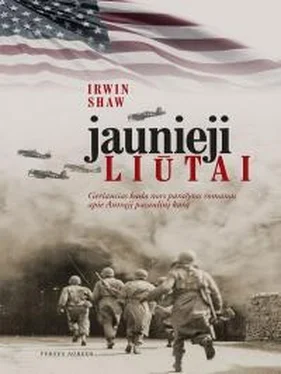 Ирвин Шоу Jaunieji liūtai обложка книги