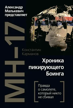 Константин Карманов MH-17. Хроника пикирующего Боинга. Правда о самолете, который никто не сбивал обложка книги