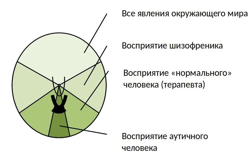 Данная схема это субъективный взгляд на то что такое психопатология вообще - фото 1
