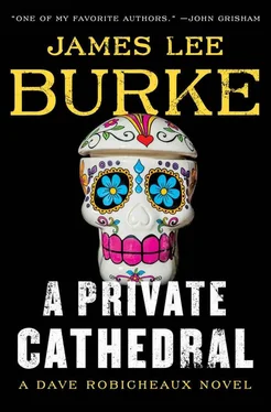 James Burke A Private Cathedral обложка книги