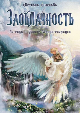 Светлана Семенова Заоблачность. Легенда о долине Вельдогенериуса [litres] обложка книги