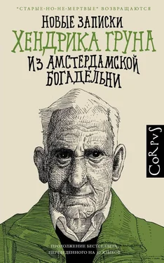 Хендрик Грун Новые записки Хендрика Груна из амстердамской богадельни [litres] обложка книги