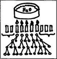 Файла Дон - 10 уроков на салфетках