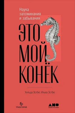 Ильва Эстбю Это мой конёк. Наука запоминания и забывания обложка книги