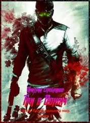 Дмитрий Серебряков - Три в одном