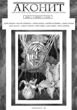 Андрей Бородин АКОНИТ 2018. Цикл 1, Оборот 2 обложка книги