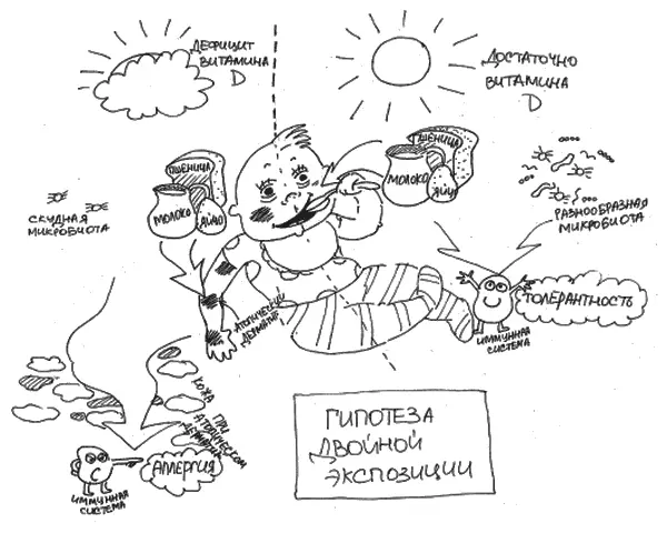 Рис 19 Гипотеза двойной экспозиции Так нужна диета или не нужна - фото 19