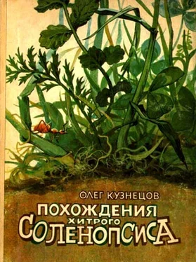 Олег Кузнецов Похождения хитрого Соленопсиса [Рассказы] обложка книги