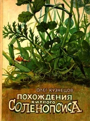 Олег Кузнецов - Похождения хитрого Соленопсиса [Рассказы]