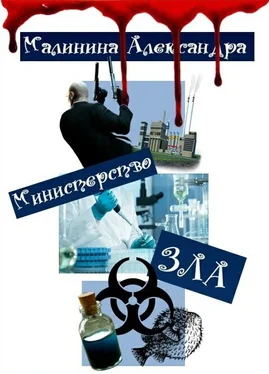Александра Малинина Министерство ЗЛА (СИ) обложка книги