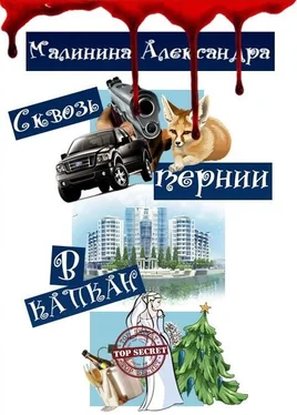 Александра Малинина Сквозь тернии в капкан (СИ) обложка книги