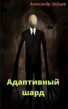 Алескандр Зайцев Адаптивный шард обложка книги