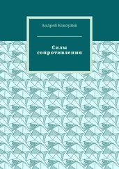 Андрей Кокоулин - Силы сопротивления